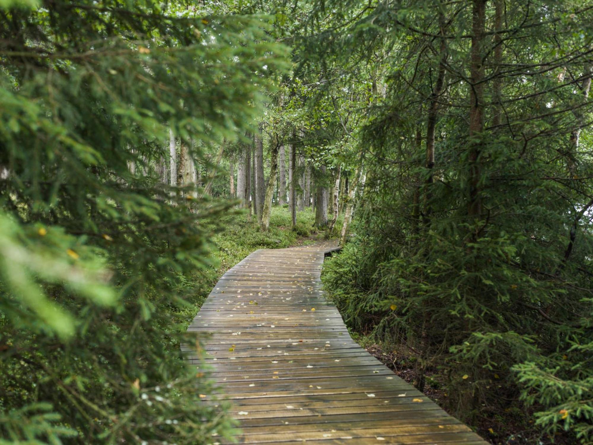 Falkensteiner Spa Resort Mariánské Lázně Esterno foto The boardwalk at the end of the trail